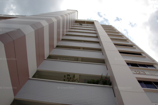 Blk 123 Pending Road (Bukit Panjang), HDB 3 Rooms #221652